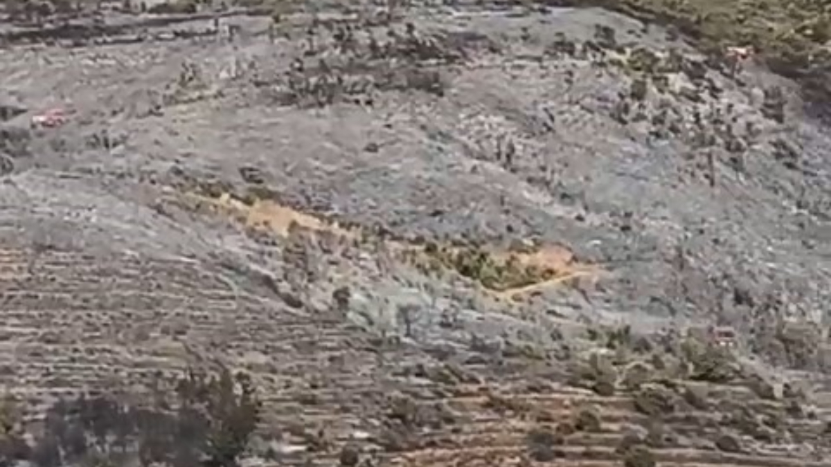 Bursa’daki orman yangını söndürüldü – Güncel Son Dakika Haberleri