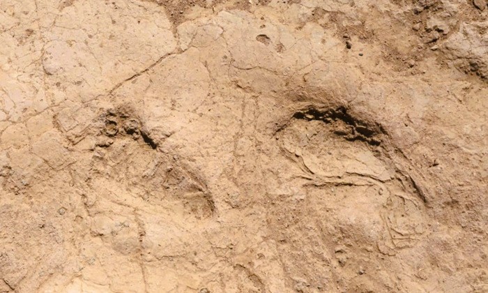 Hatay’da 7 Bin Yıllık İnsan Ayak İzleri Bulundu