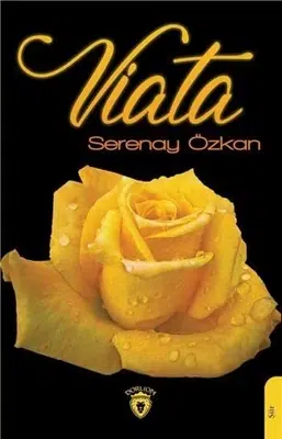 Sessizliğin Peşinde Bir Kitap: Serenay Özkan’ın Viata’sı – Edebiyat Sessizliğin Peşinde Bir Kitap: Serenay Özkan’ın Viata’sı – Edebiyat
