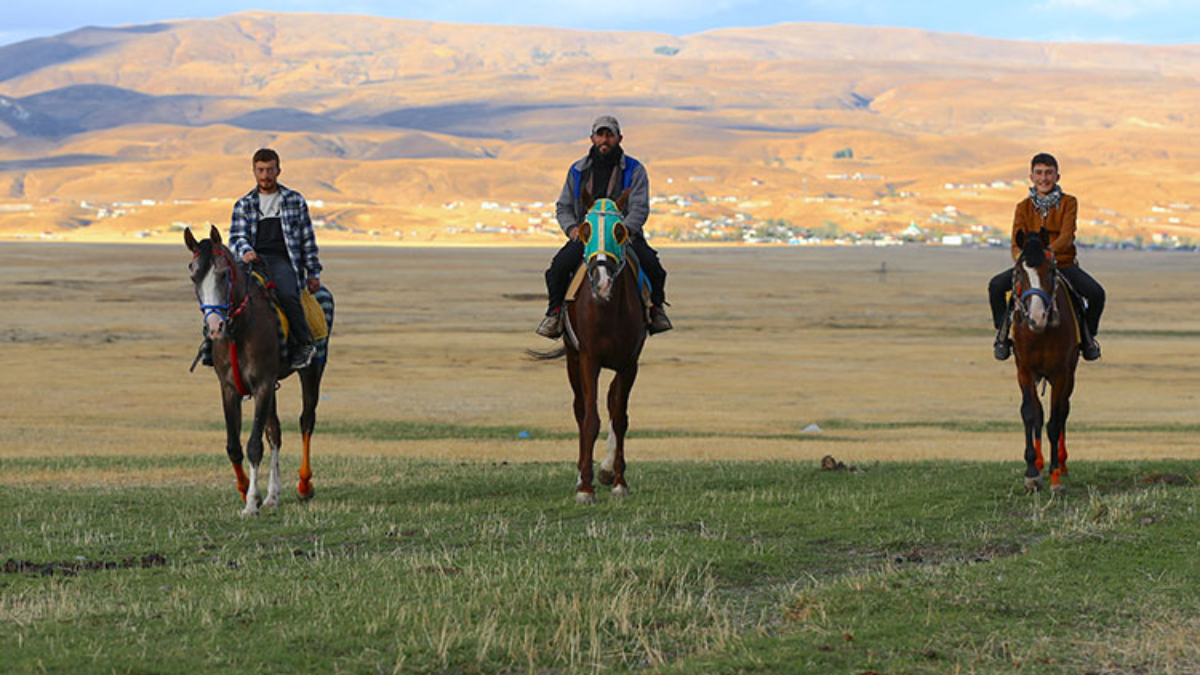 Bingöl’de at yetiştiriciliği kültürel miras olarak yaşatılıyor Bingöl’de at yetiştiriciliği kültürel miras olarak yaşatılıyor