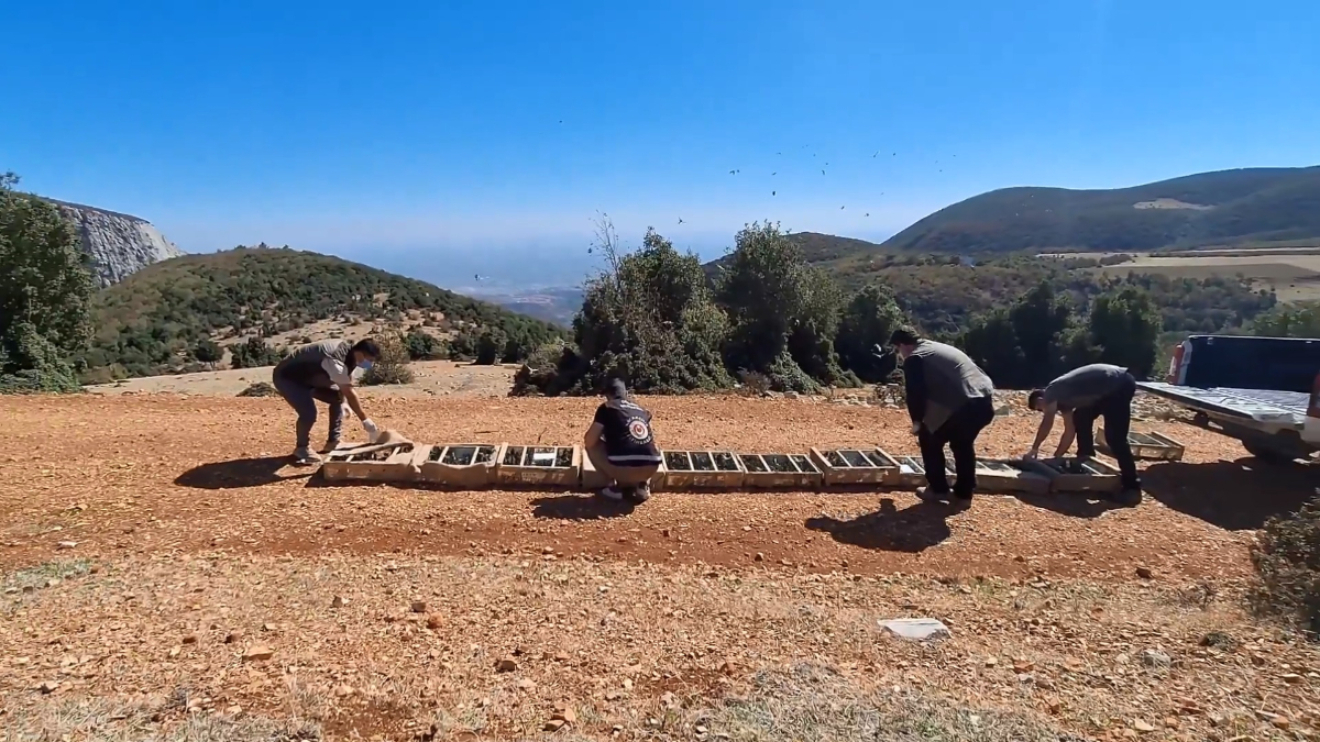 Hatay’da saka kuşu kaçakçılığına 10 milyon 897 bin TL ceza