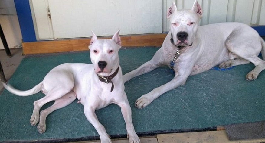 Hayatımın En Güzel 10 Yılı