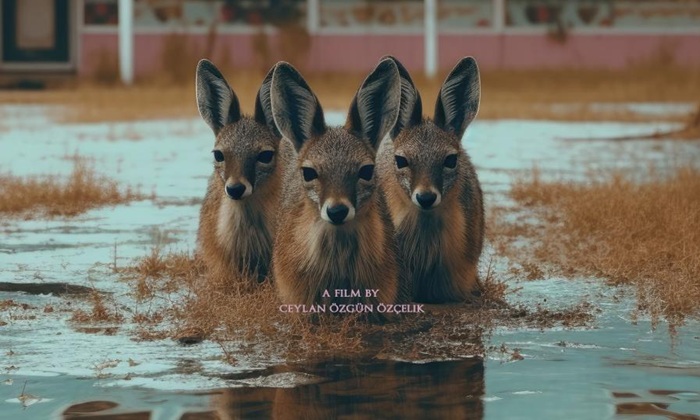 90’ların Gözde Oteli Naturland’ın Gerçek Hikayesi “Hiçbir Şey Normal Değil” Filminde