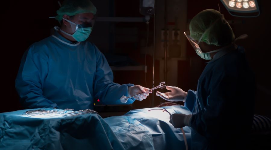 Dünyanın ilk domuzdan insana karaciğer nakli gerçekleşti Dünyanın ilk domuzdan insana karaciğer nakli gerçekleşti