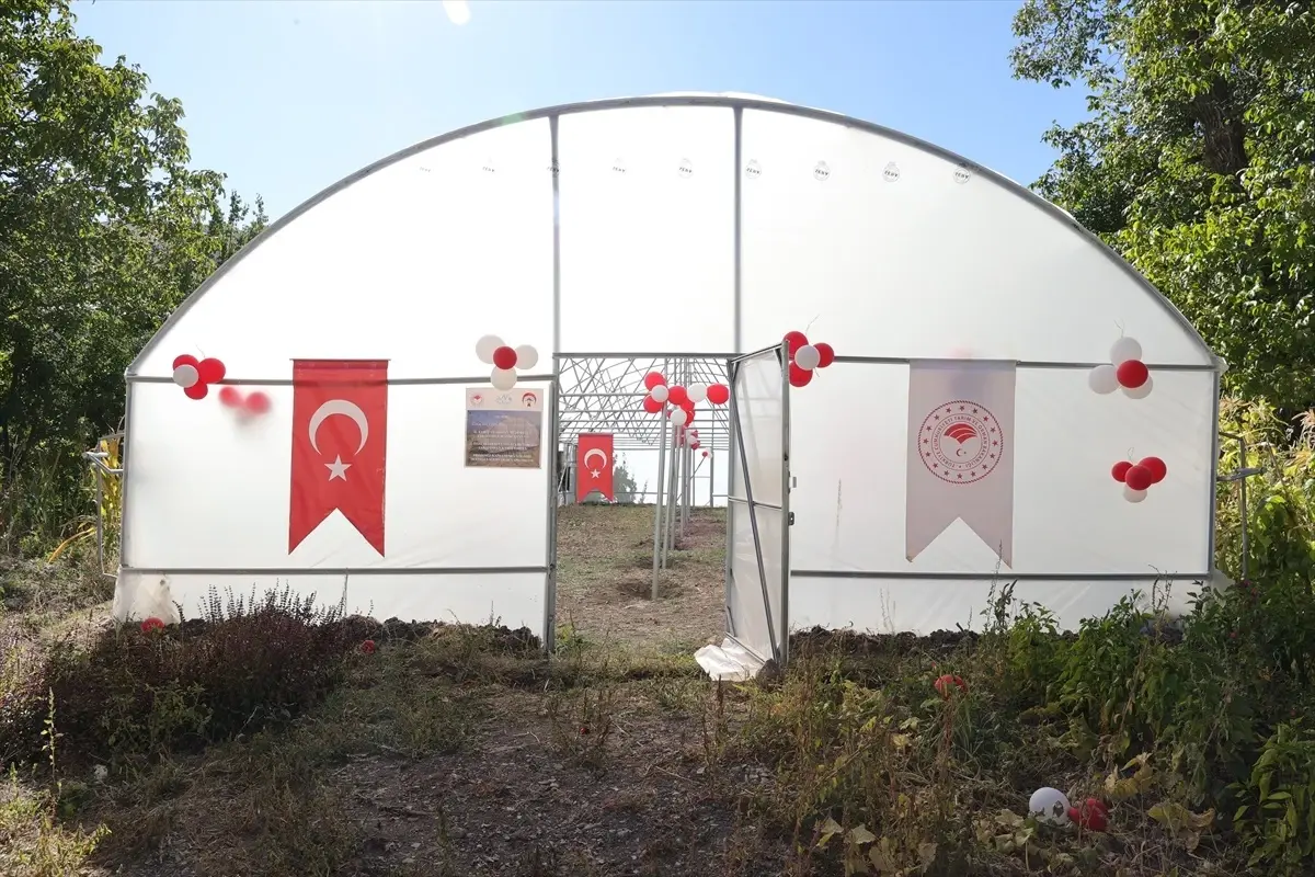 Hakkari’de Kadın Üreticilere 18 Sera Teslim Edildi