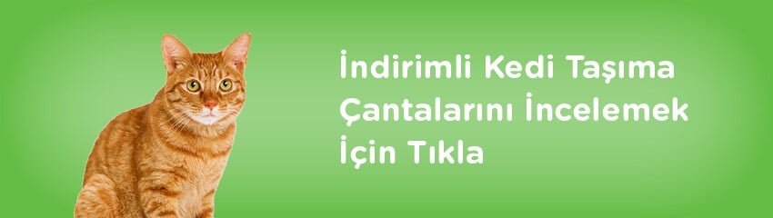 Kedi Kafesi Ne İşe Yarar?