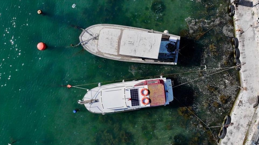 Müsilajdan etkilenen gemilere ek ödeme geliyor