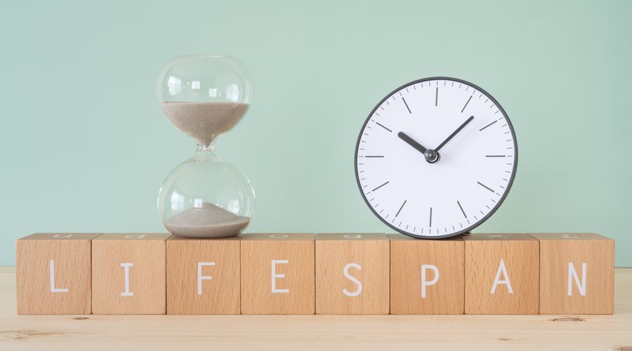 Araştırma: Dünya genelinde genç ölümler artışta Araştırma: Dünya genelinde genç ölümler artışta