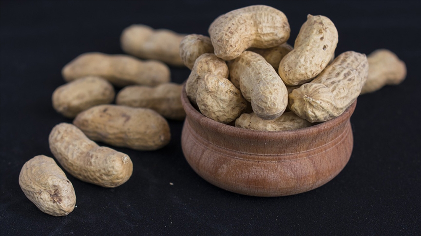 Araştırma: Yer fıstığı erken yaşta yenirse alerji gelişimi önlenebilir