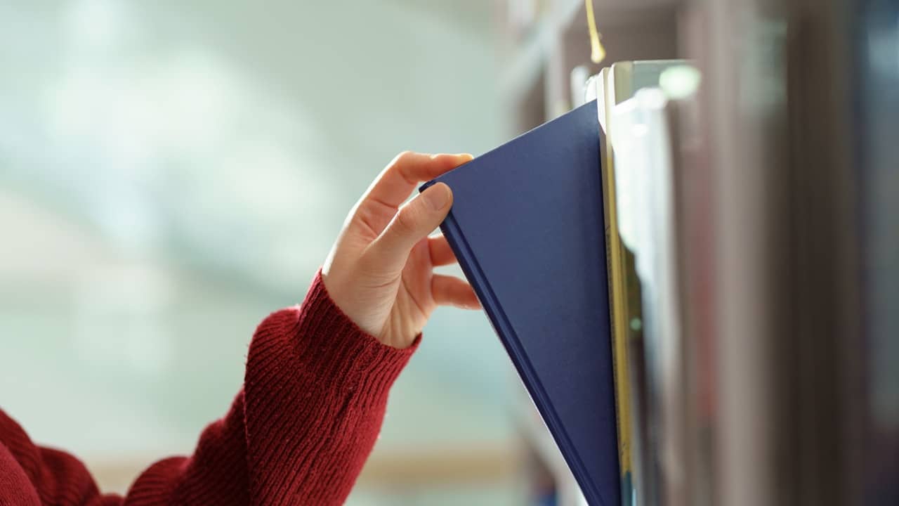 Finansal Krizleri Öngörmek Mümkün Mü?