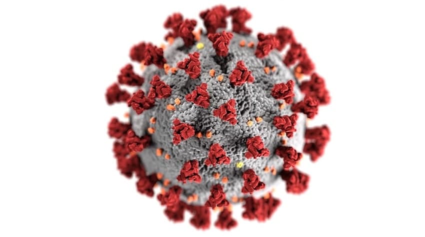 Corona Virüsü ve Hayvanlar: Kedi ve Köpeklerde Etkileri Corona Virüsü ve Hayvanlar: Kedi ve Köpeklerde Etkileri