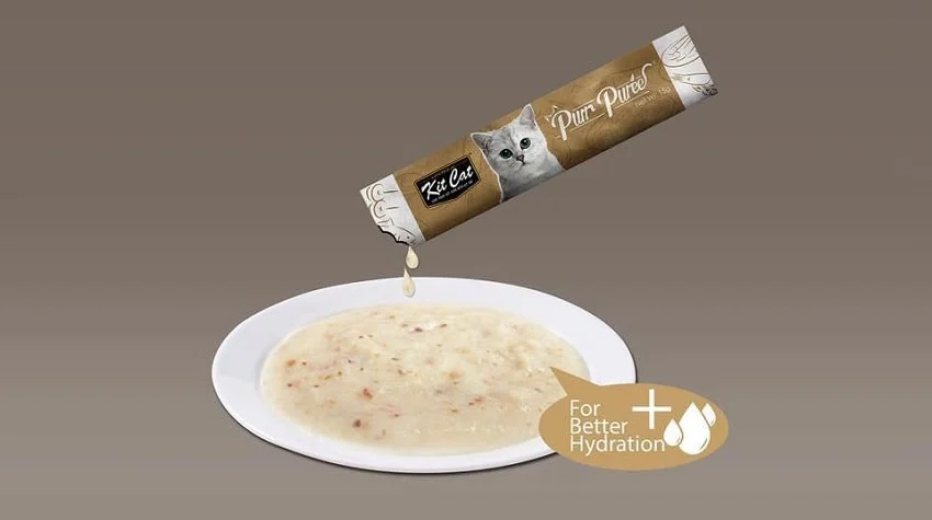 Kedi Çorbası Nedir? Faydaları ve Beslenme İhtiyaçları