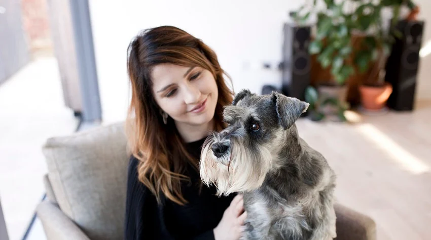 Köpeğinizi Anlamak: Vücut Dili ve Sesleri Köpeğinizi Anlamak: Vücut Dili ve Sesleri