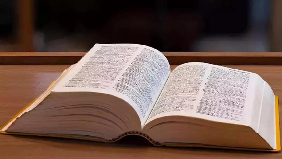 2025’in Kelimesi: Rage Bait (Öfke Yemi) Nedir?